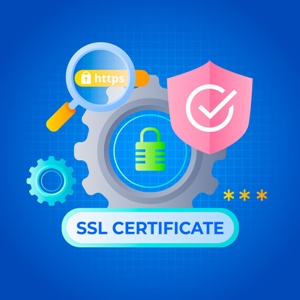 SSL -Pagos seguros
